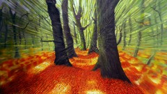 Trees autumn web drawings motion blur