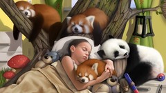 Trees Bears sleeping panda bears red pandas