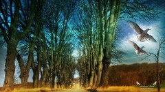 Trees Birds Biutiful (movie)