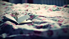 Trees Birds Books beds Photo manipulation depth of field