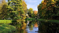 Trees Birds Ducks rivers