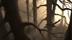 Trees Birds forests fantasy art