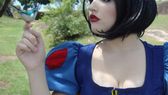 Trees Birds grass Snow