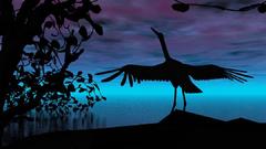 Trees Birds silhouette nature