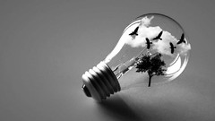 Trees black and white light Birds artwork light bulbs