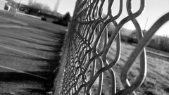 Trees black and white one fences fields school buildings 