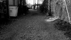 Trees black and white rocks buildings