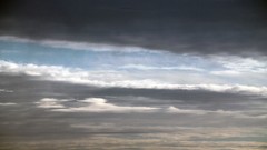 Trees black blue red moon white light flash Garden lighting 