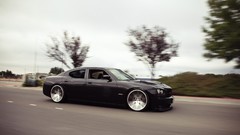 Trees black cars black cars Dodge Charger SRT