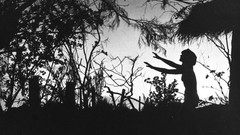 Trees black dark woman horror monochrome creepy
