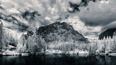 Trees black Mountains white frost Wood rocks forests skyscapes 