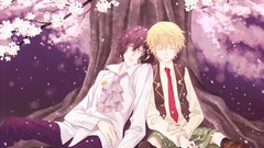 Trees blondes pandora hearts black hair cherry blossoms gilbert 