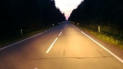 Trees blue evening roads skies