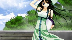 Trees blue eyes bench