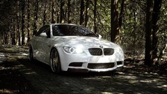 Trees BMW sports cars