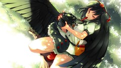 Trees branches paper wings hats notebook pens red eyes Cameras 