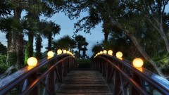 Trees Bridges HDR Photography