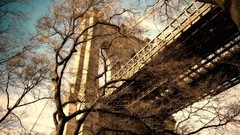 Trees Bridges new york city low-angle shot Evan Spiler