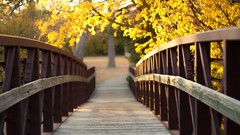 Trees Bridges Parks wooden bridge Kansas