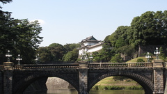 Trees Bridges rivers