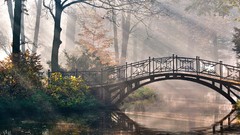 Trees Bridges rivers