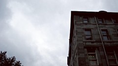 Trees buildings cities