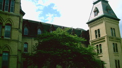 Trees buildings nature