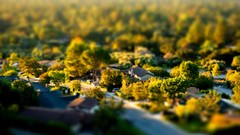 Trees California houses cityscapes tilt-shift towns