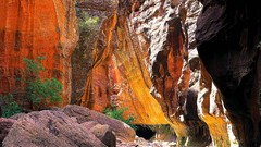 Trees canyon rocks rivers