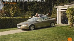 Trees cars Bicycles suit