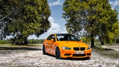 Trees cars BMW bmw m3