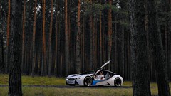 Trees cars BMW Vision EfficientDynamics