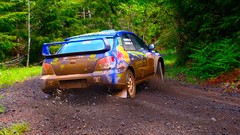 Trees cars Drift Subaru Red Bull rally races gravel racing 