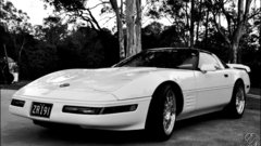 Trees cars grayscale monochrome