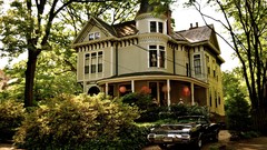 Trees cars houses suburbia