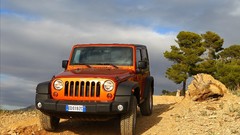 Trees cars jeep vehicles orange cars
