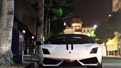 Trees cars lamborghini gallardo