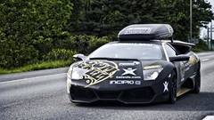 Trees cars Lamborghini roads