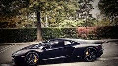 Trees cars Lamborghini vehicles Lamborghini-Aventador black cars