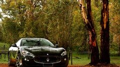 Trees cars Maserati vehicles Maserati granturismo
