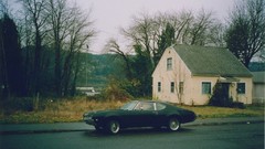 Trees cars roads houses black cars