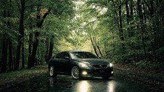 Trees cars roads Lexus