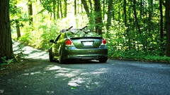 Trees cars Scion vehicles forests Scion tC