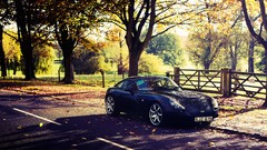 Trees cars TVR Tuscan