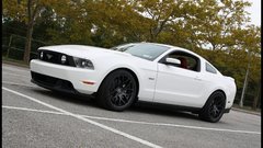 Trees cars vehicles Ford