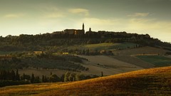 Trees Castles fields forests