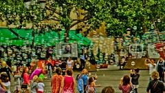 Trees children bubbles multicolor soap bubbles iridescence