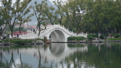 Trees China architecture photography