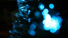 Trees Christmas bokeh