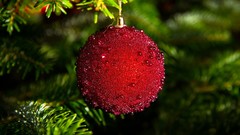 Trees christmas decorations